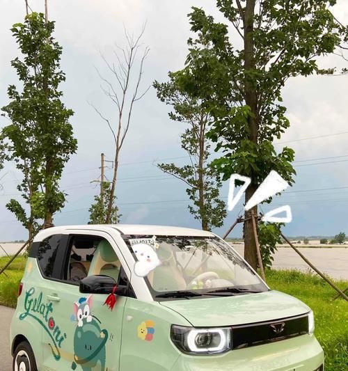 选择适合带猫咪的汽车，让旅途更舒适（如何选择适合宠物猫乘坐的汽车及注意事项）