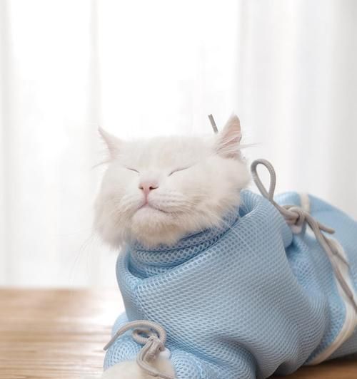 解决猫咪洗澡负伤难题的神器（安全、便捷的猫咪洗澡新选择）
