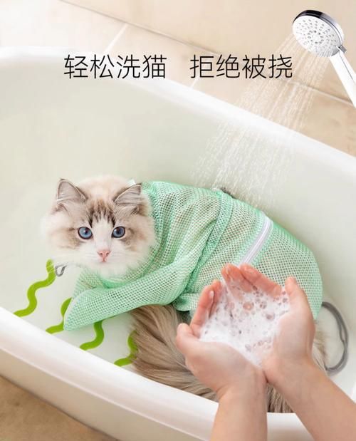 解决猫咪洗澡负伤难题的神器（安全、便捷的猫咪洗澡新选择）