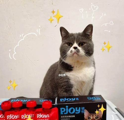 冬天猫应该喝什么水？（选择适合冬天猫的饮水方式，）