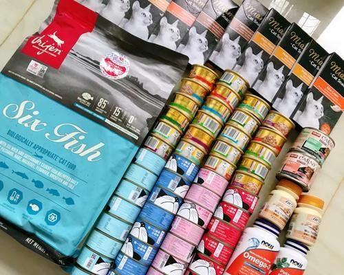 让加菲猫远离眼屎的猫粮选择