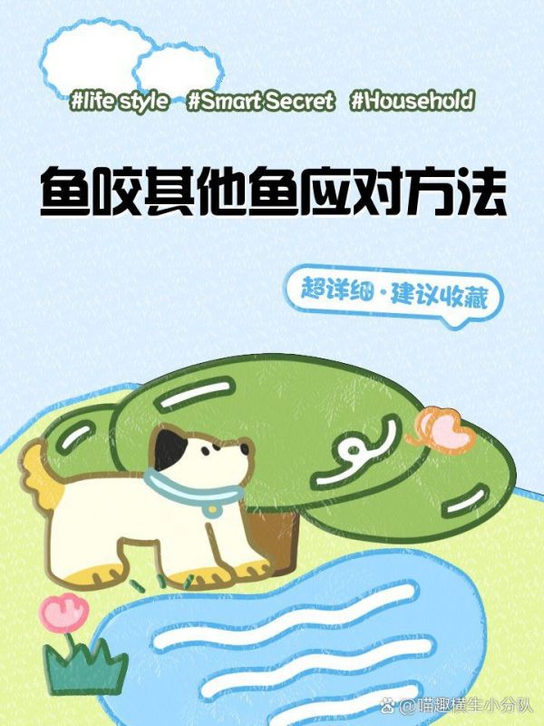 玛丽球鱼咬别的鱼:宠物喂养秘籍,鱼咬鱼的解决方法柒柒宠物城 龙鱼百科 第2张