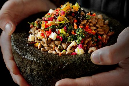 尾巴先生狗粮创造天然、单纯的宠物饮食文化