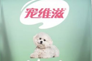 宠维滋狗粮:天然健康的宠物食品