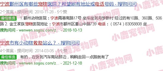 宁波宠物救助热线电话