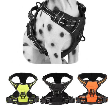 入局千亿宠物市场：跨境卖家宠物选品攻略