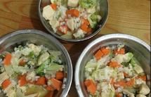 营养狗狗饭