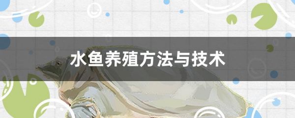 水鱼养殖方法与技术
