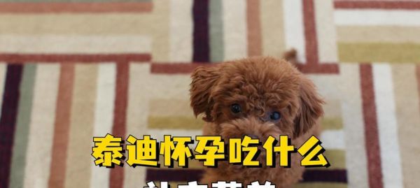 狗狗不小心吃了干燥剂，该如何处理？（干燥剂对狗狗的危害及急救方法）