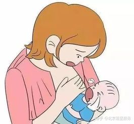 小猫呛奶急救指南，避免意外发生