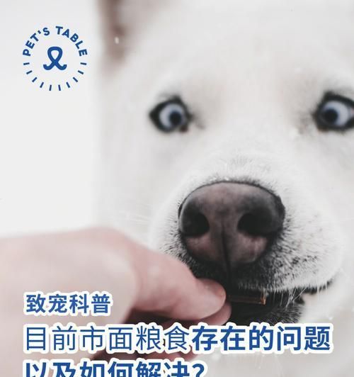 给幼狗吃干粮会怎么样？幼犬饮食的正确选择是什么？