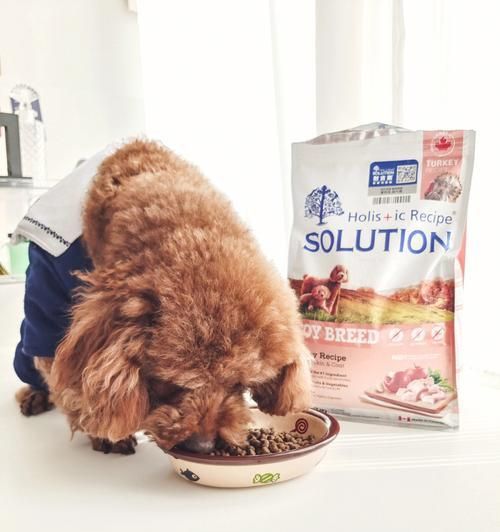 给幼狗吃干粮会怎么样？幼犬饮食的正确选择是什么？