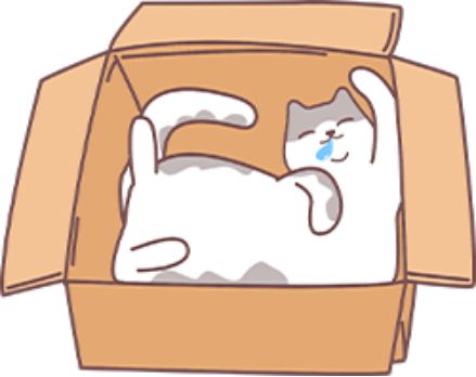 猫骨折了怎么治疗？