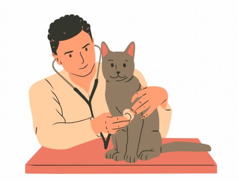 猫腿骨折了能自愈吗？