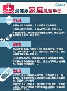 宠物急救：识别与处理指南