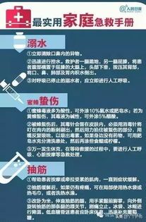 宠物急救：识别与处理指南