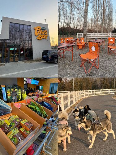 全北京的哈士奇都在这了吧！