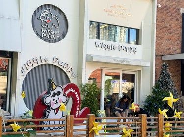 狗狗的快乐，我的快乐