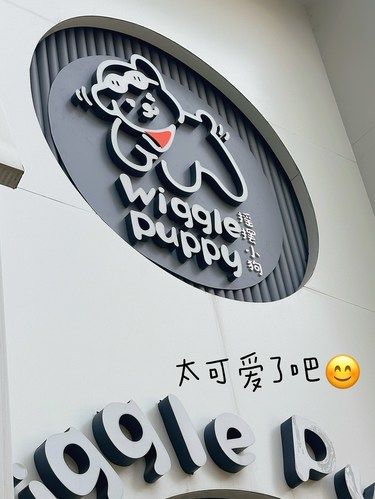 萌宠天堂！治愈系比熊+草坪咖啡馆