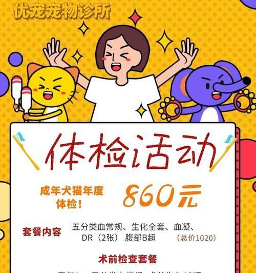 宠物体检的费用和项目详情（了解宠物体检所需花费及项目内容，为宠物健康保驾护航）