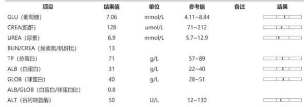 宠物体检的费用和项目详情（了解宠物体检所需花费及项目内容，为宠物健康保驾护航）