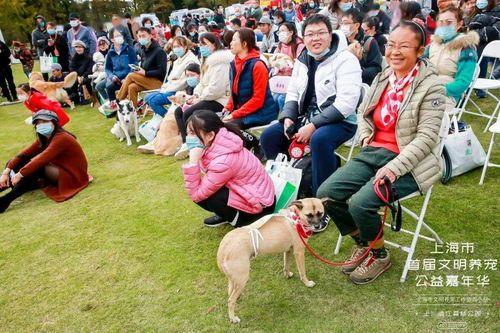 宠物欢歌，治愈力MAX！