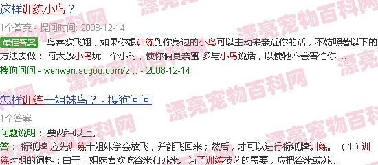 训练小鸟自己吃食 - 训练小鸟-第2张图片-漂亮宠物百科网