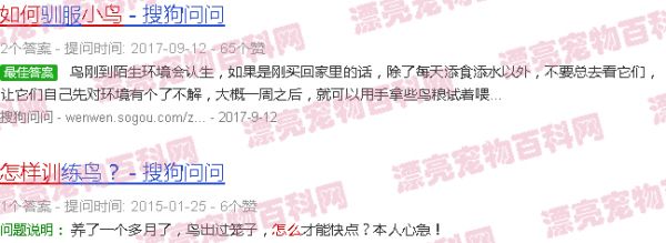 小鸟怎么训练拉屎 - 小鸟怎么训练-第2张图片-漂亮宠物百科网