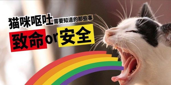 法国斗牛犬呕吐的原因与预防（宠物健康重要性、喂食与锻炼、疾病与治疗）