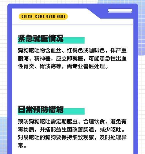 法国斗牛犬呕吐的原因与预防（宠物健康重要性、喂食与锻炼、疾病与治疗）