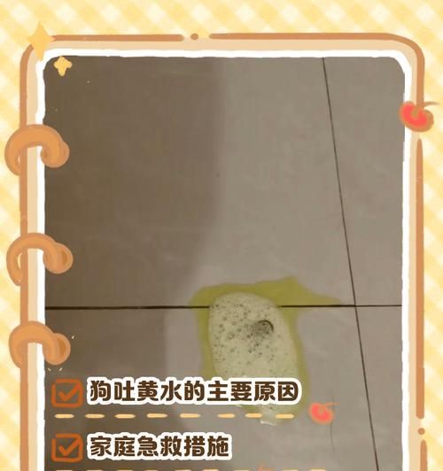 法国斗牛犬呕吐的原因与预防（宠物健康重要性、喂食与锻炼、疾病与治疗）