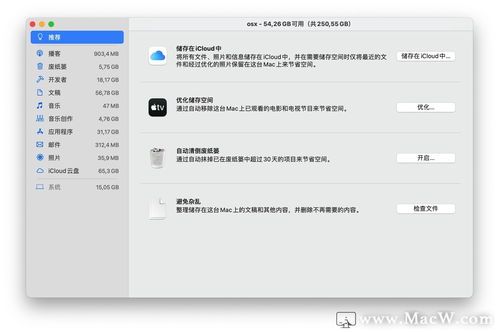 热带丽丽鱼养护攻略,新手必看!