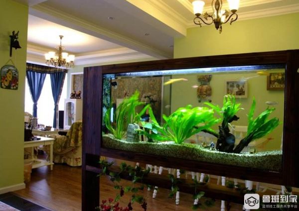 养鱼小技巧,建议添加收藏