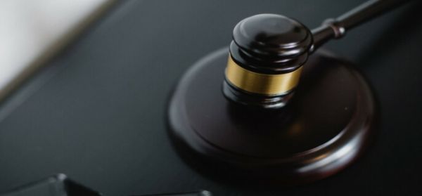 宠物被商店侵权怎么办赔偿