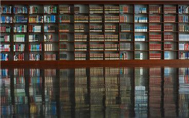 动物致害侵权责任是怎么规定的?