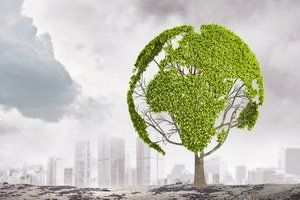 特殊侵权责任有哪些