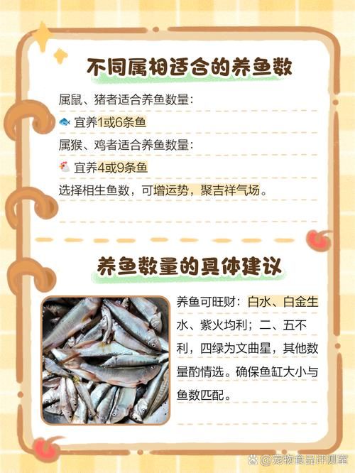 小鱼怎么养才能活的久_稳定水质正确喂食及细心观察是关键