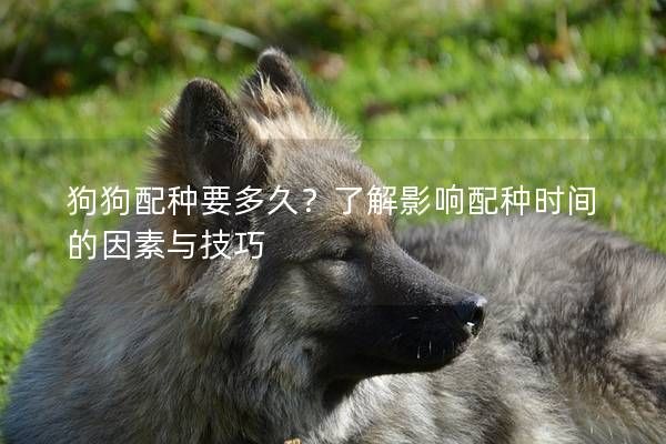 狗狗配种要多久?了解影响配种时间的因素与技巧