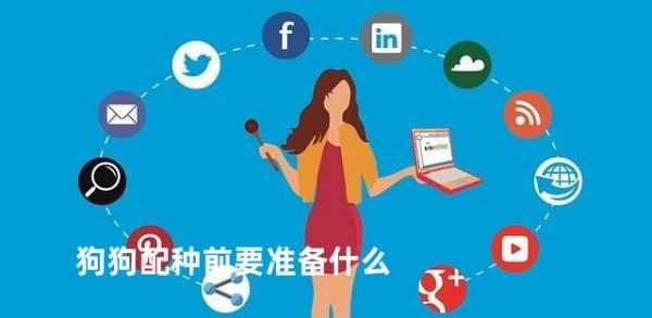 狗狗配种前要准备什么