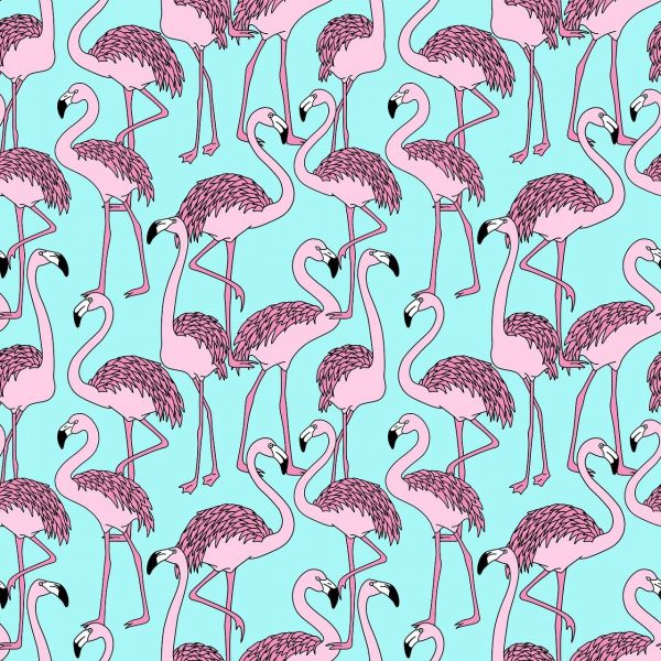 探索蛇的世界,108种蛇类品种的图片与介绍