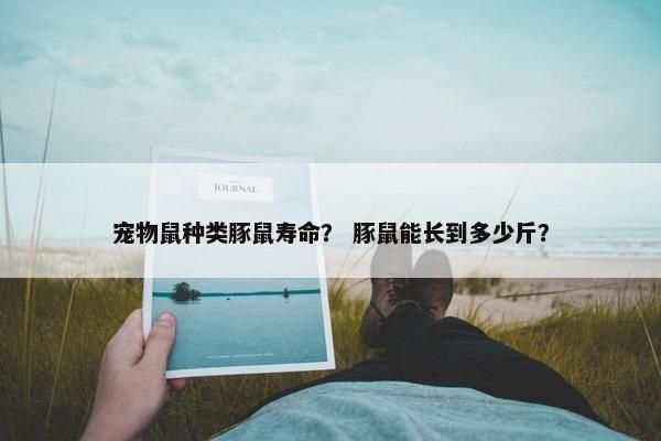 宠物鼠种类豚鼠寿命? 豚鼠能长到多少斤?