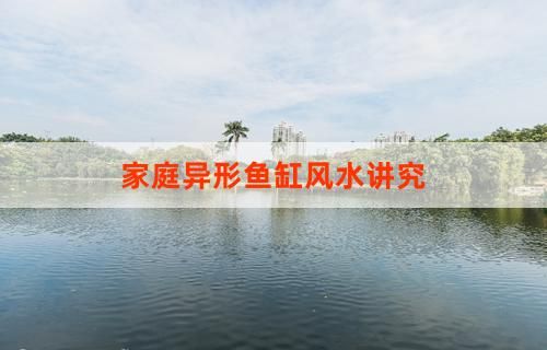 家庭异形鱼缸风水讲究