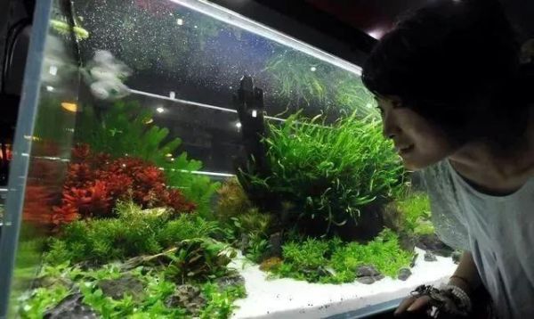 鱼缸的风水讲究,用好了财旺家旺运道旺