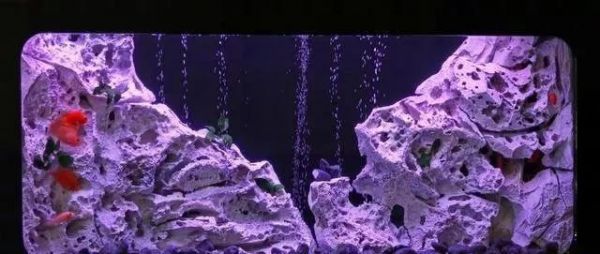 鱼缸的风水讲究,用好了财旺家旺运道旺