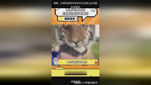 崽啊，你想想麻麻可承受不住你泰山压顶般的体格啊