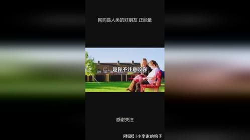 狗狗是人类的好朋友 '正能量 '