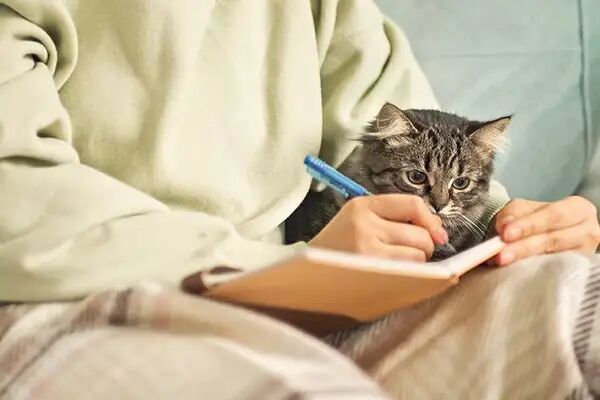 全球智能宠物市场10年CAGR达19.5%:北美占40%份额,黑五线上销售额增32%至28亿美元