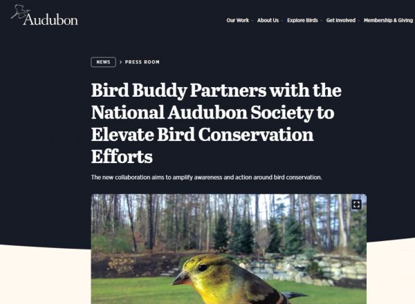 全球智能宠物市场10年CAGR达19.5%:北美占40%份额,黑五线上销售额增32%至28亿美元