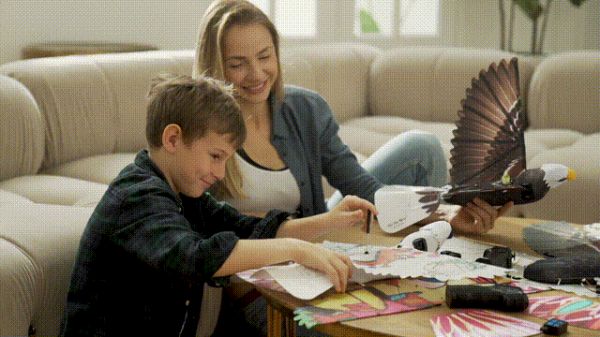 汉王智能家居仿生机器鸟 | 解锁STEAM教学新场景_1