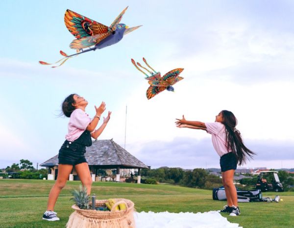 汉王智能家居DIY仿生鸟「小红雀」限量上新!_6